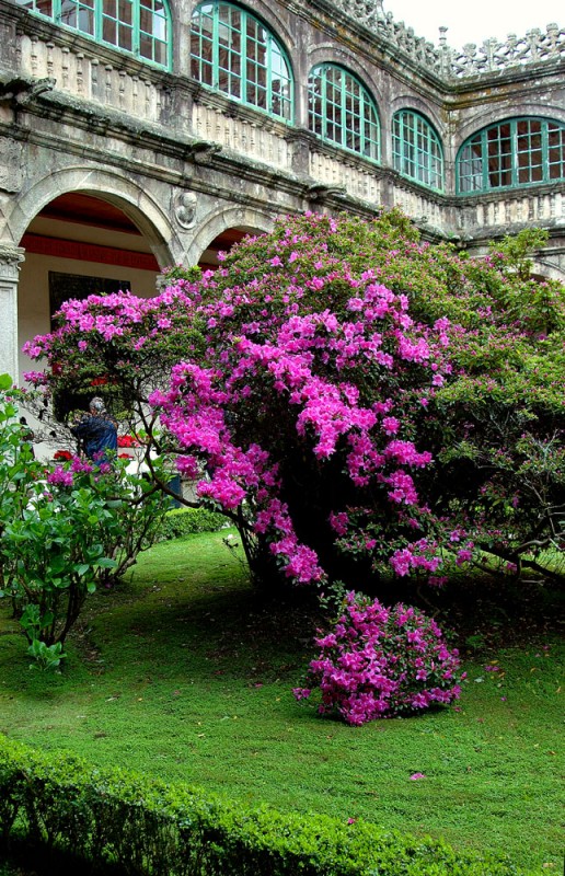 Patio  interior