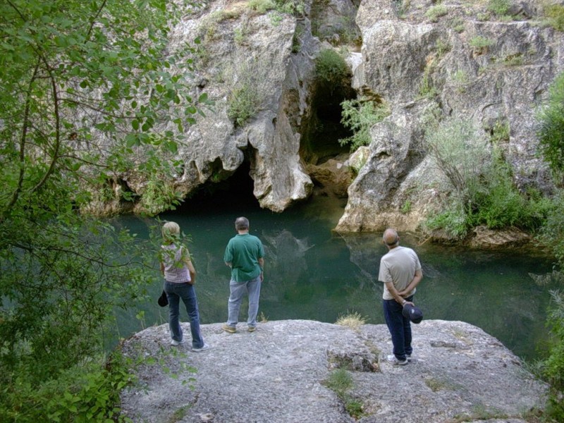 contemplando la naturaleza