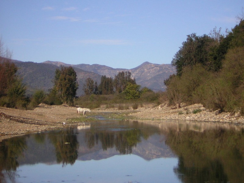 Espejo de agua