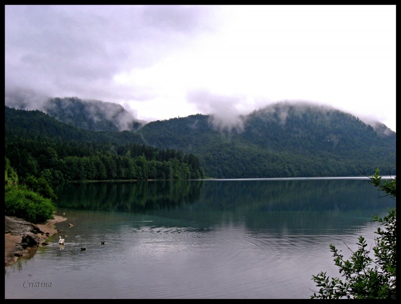 Lago Alpsee