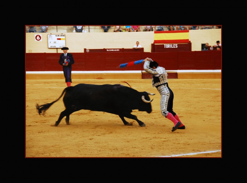 Toros si, toros no ...