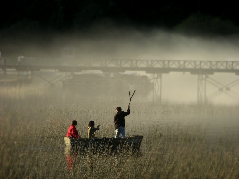 Navegando en la niebla...