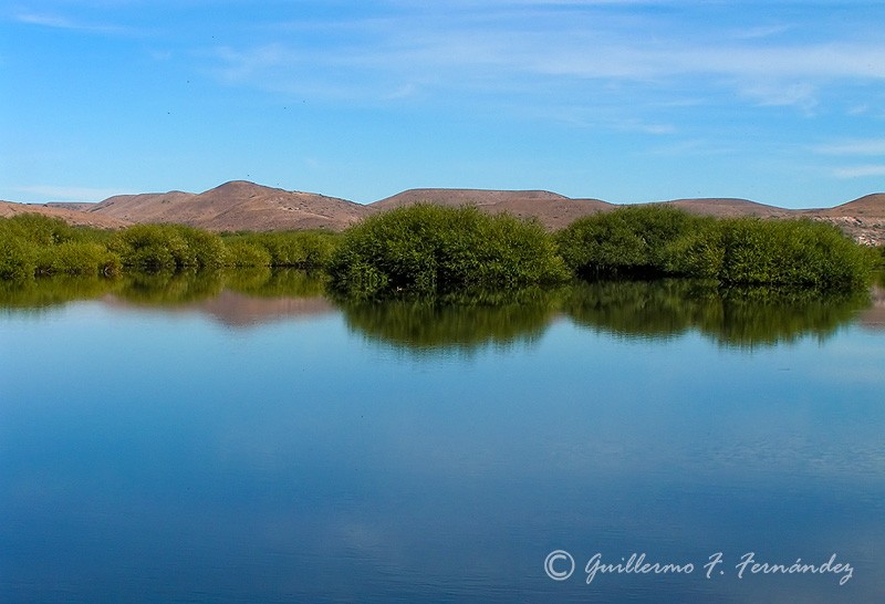 Espejo patagnico