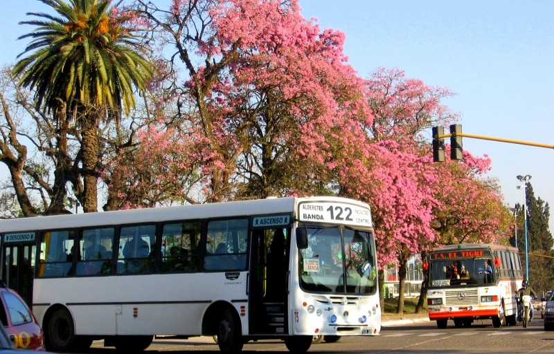 EL COLECTIVO DOBLANDO