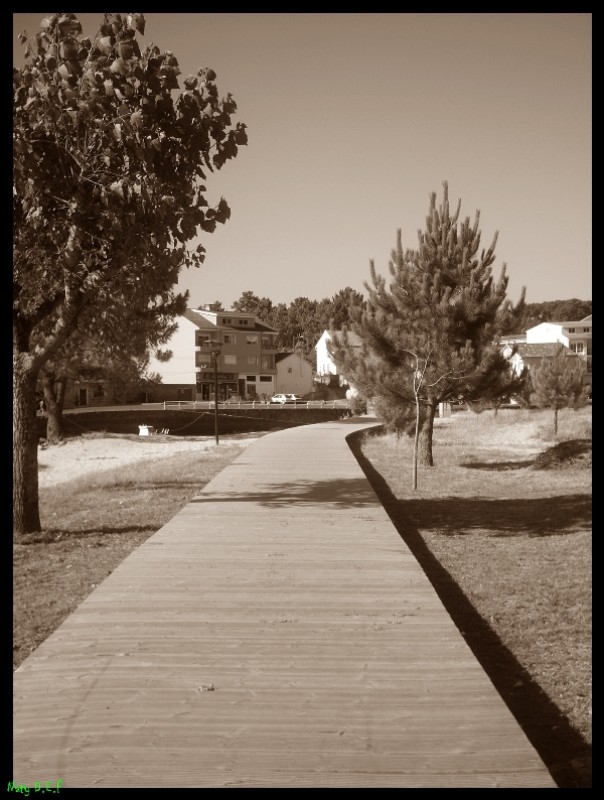 el camino hacia el puente en esteiro