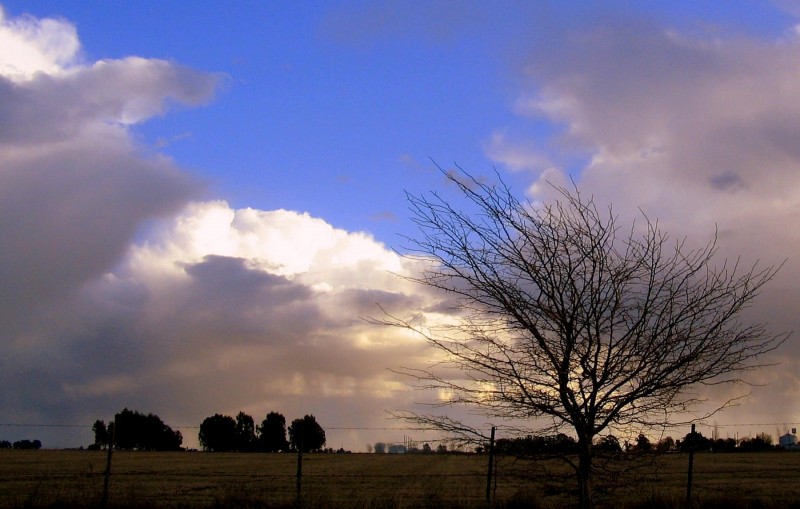 TORMENTA