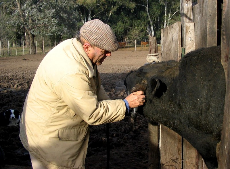 PELUQUERIA TAURINA