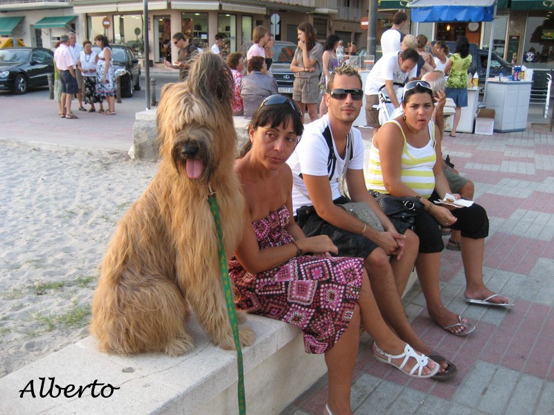 Un dia en la playa