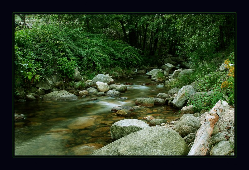 Homenaje al Rio