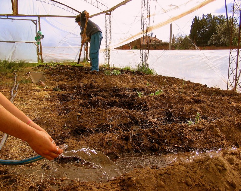 REGANDO UNA HUERTA