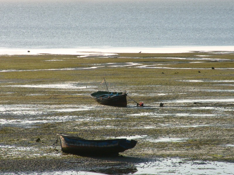 Marea baja