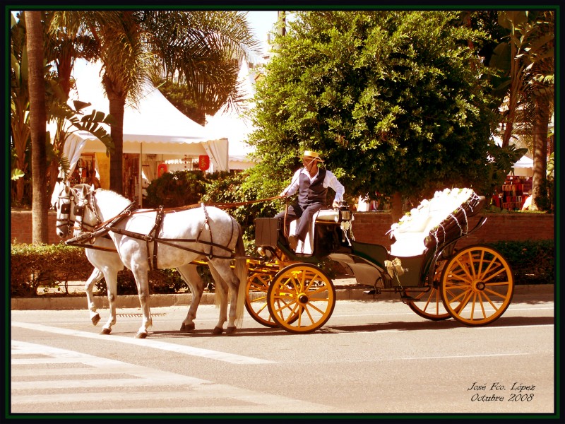 Coche de caballos