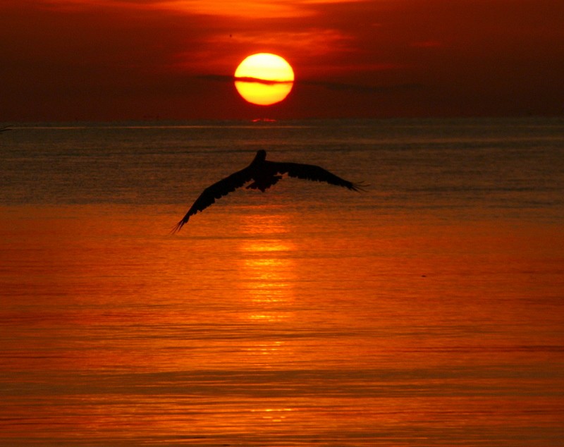 vuelo al amanecer