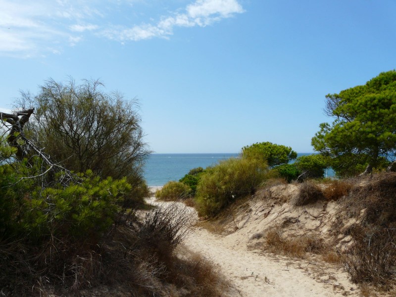 Caminito de la playa