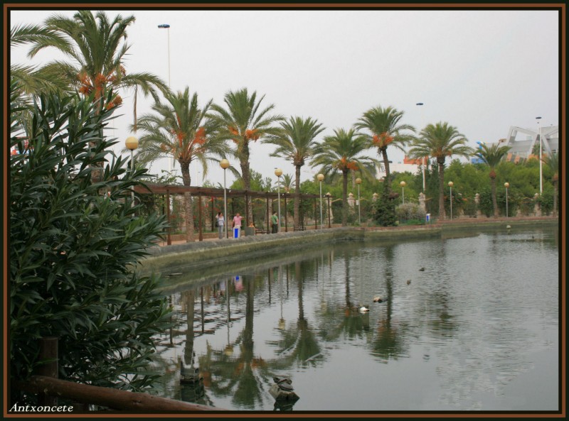 Reflejos en le parque