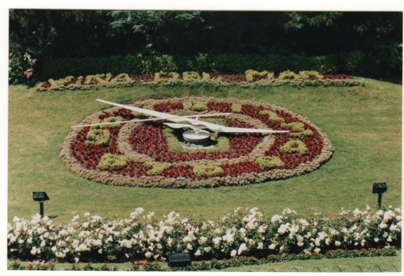 reloj de flores