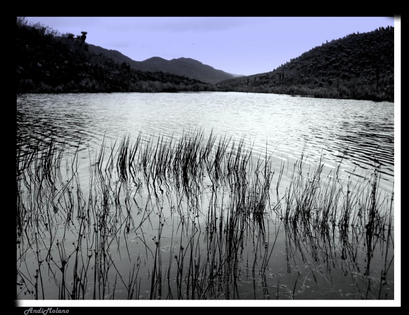 Laguna de Guachaneque II...