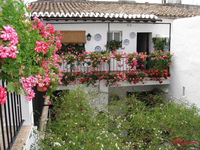 barrio alto del Puerto Santa Maria