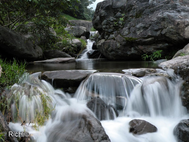 Agua de Vida