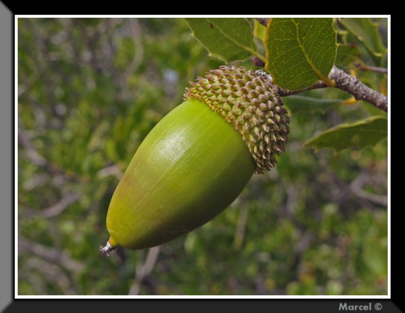 extremadura