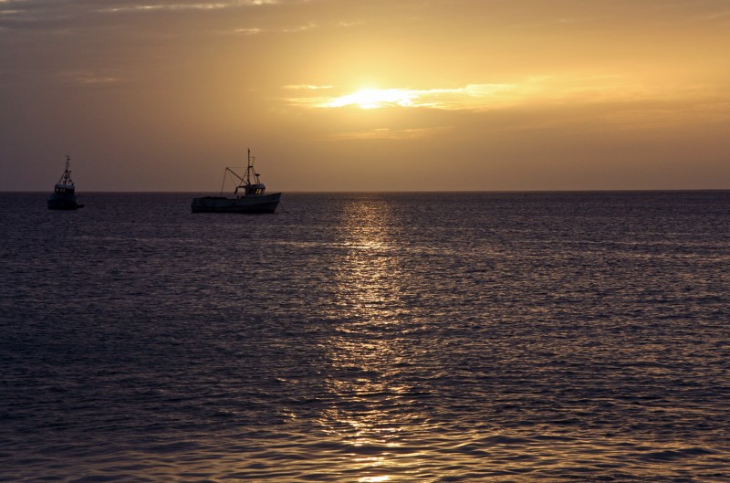 Camino Dorado Hacia el sol