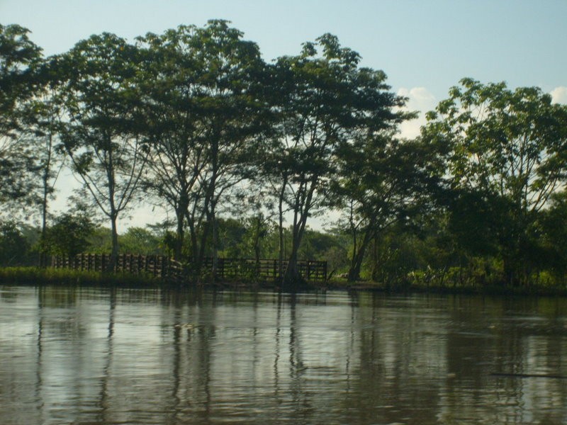 REFLEJOS  DEL  MAGDALENA