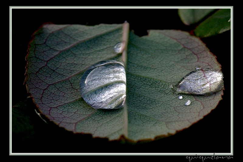 Lente de aumento.