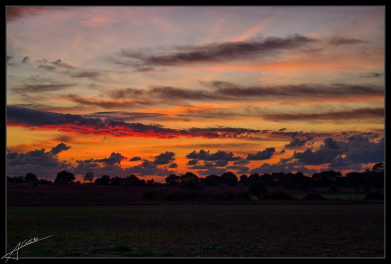 Posta de sol Son Negre