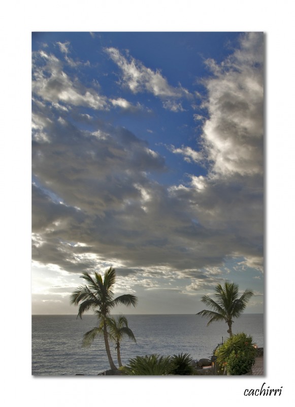 mar , palmeras y nubes