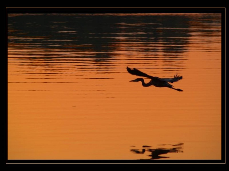 Reflejo imperfecto