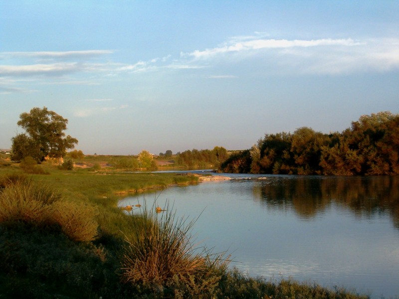 Atardecer a orillas del Guadalquivir