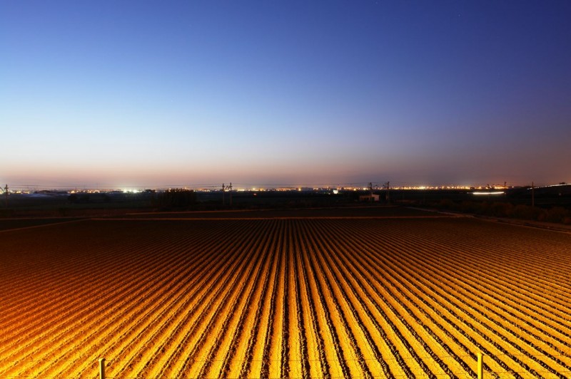 Campo de sueos