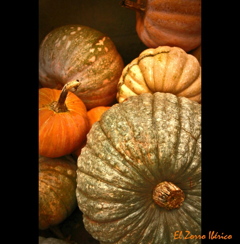 Calabazas