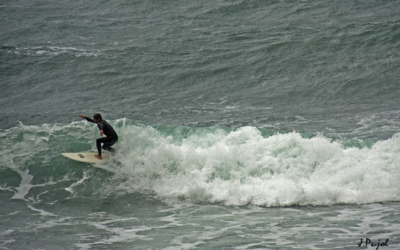 Surfeando