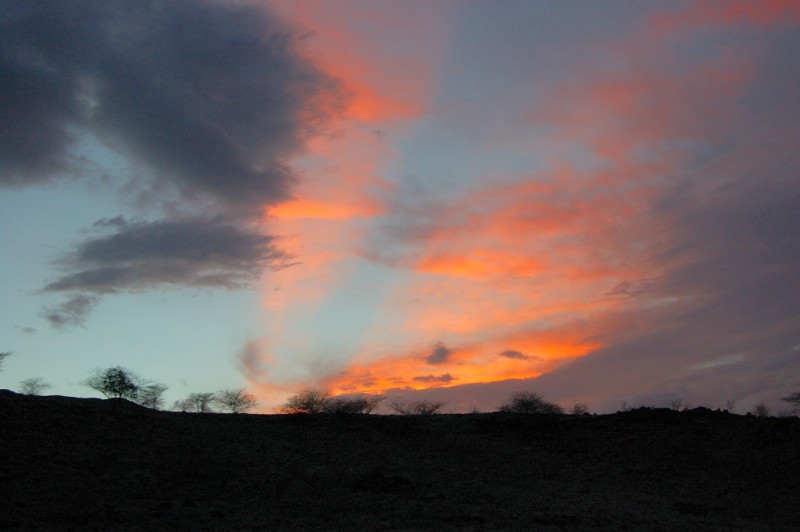 los dos ultimos rayos de sol