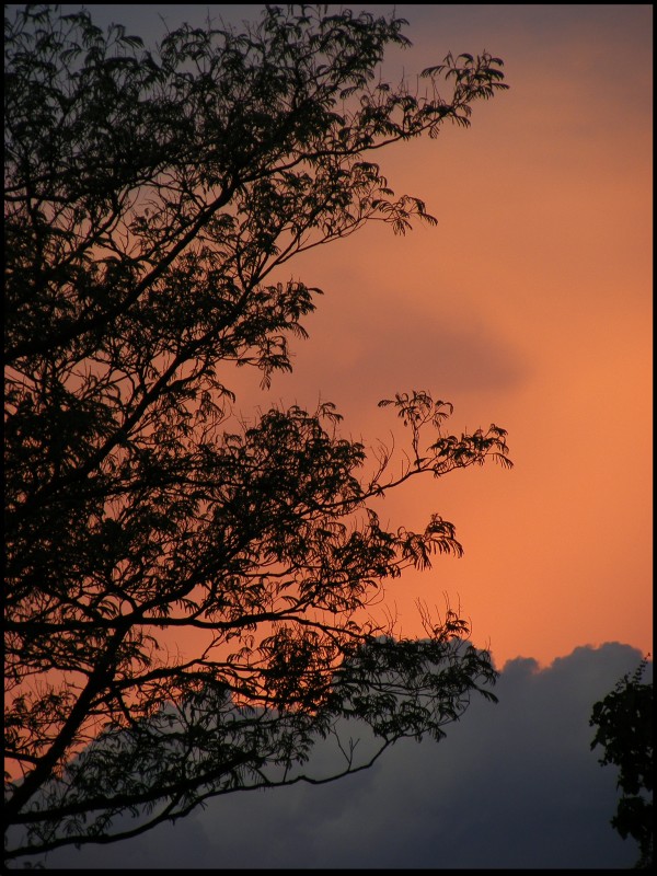 Pedazo de Cielo II