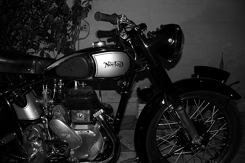 Norton