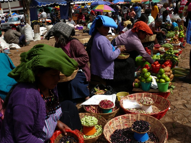 mercado indgena