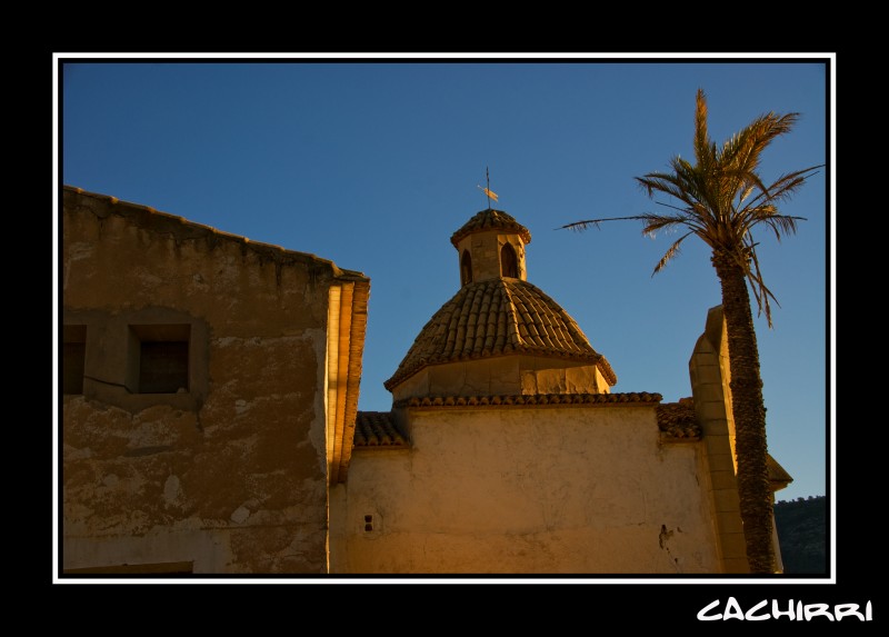 la cupula y la palmera