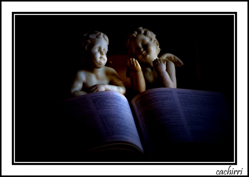 lectura angelical  ( mi foto 90 )