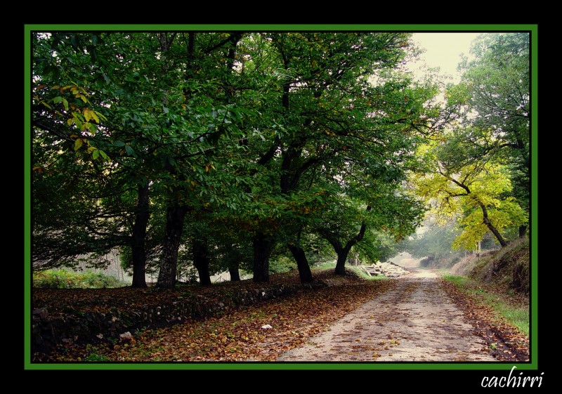 entrada a Trabadelo (Leon)