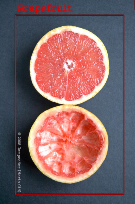 Grapefruit (Pomelo) - Serie Frutas
