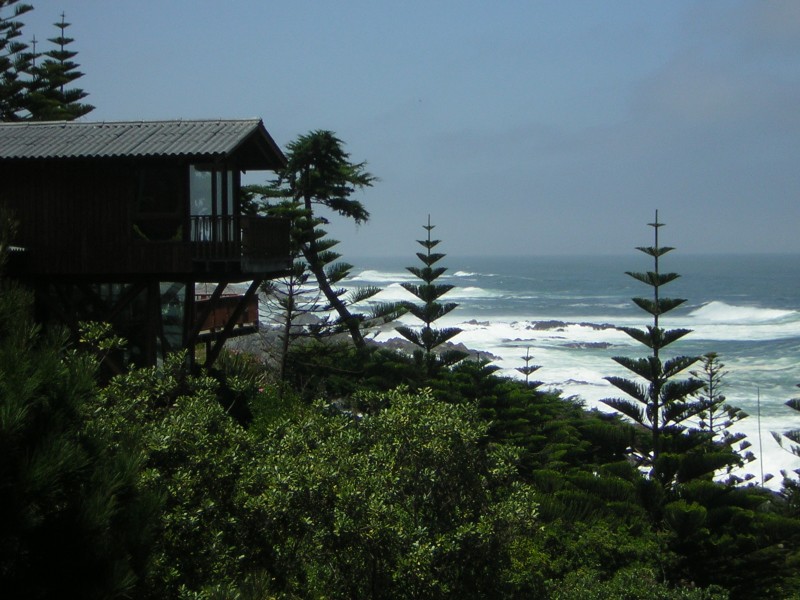 Mirar el mar en Isla Negra