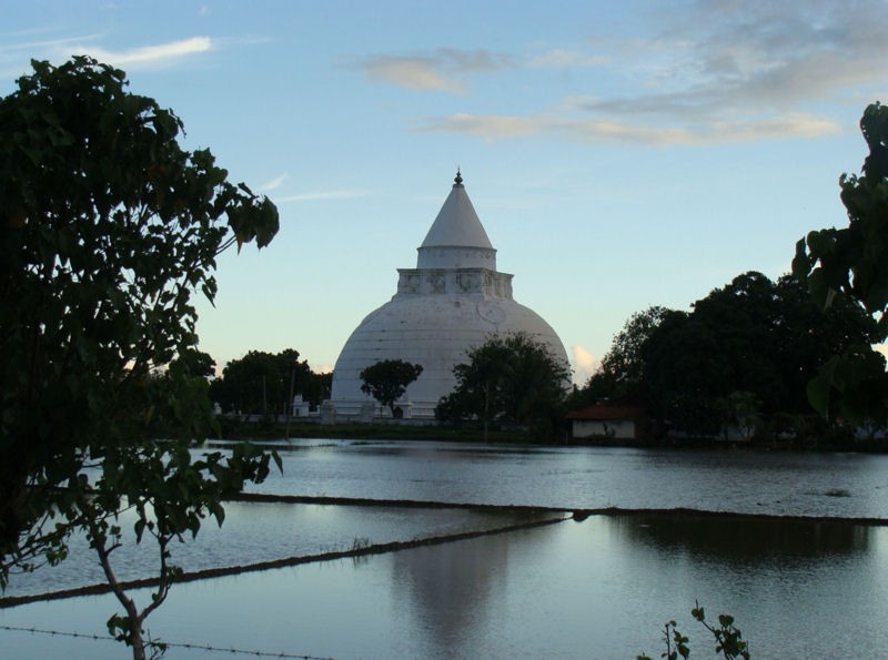 Pagoda al atardecer,rodeada de campos de arroz