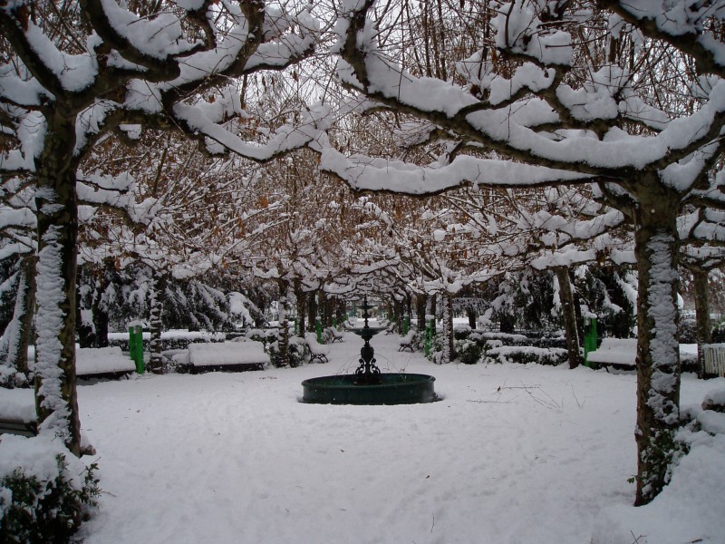 Papalaguinda en blanco