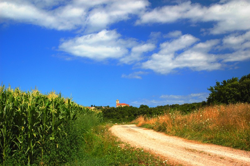 CAMINO RURAL