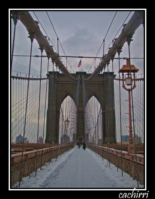 el puente de Brooklyn