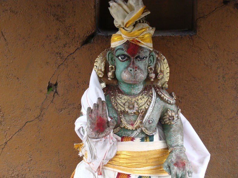 Dios mono en un templo hind, revestido de ropajes