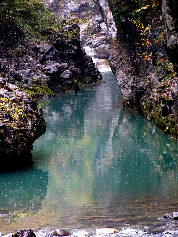 Camino acutico