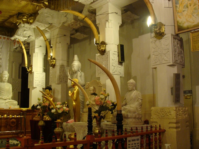 Interior Templo del Diente de Buda